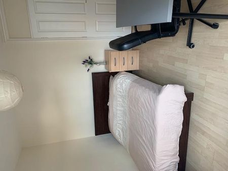 5 bedroom flat to rent - Photo 5