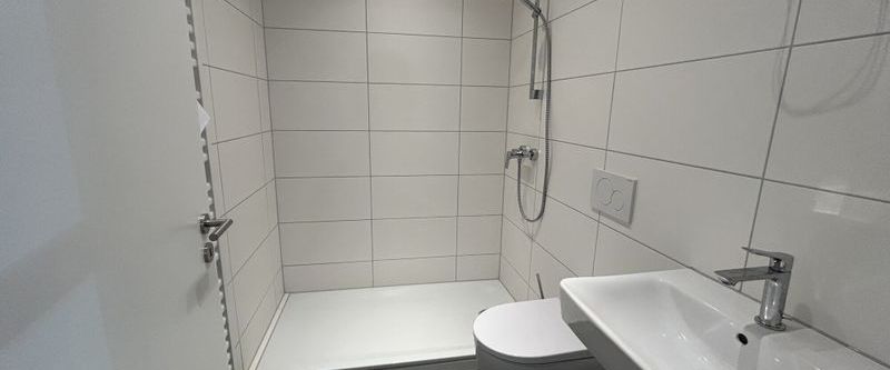 Stilvolle Erdgeschosswohnung mit Terrasse im Herzen von Münster - Photo 1
