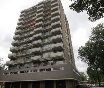 Willemstraat 0ong, 2713 Zoetermeer, Nederland - Photo 1