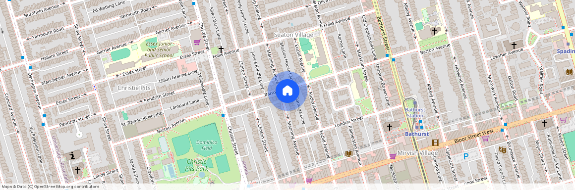 757 Manning Avenue #Main/Lower, Toronto, Annex