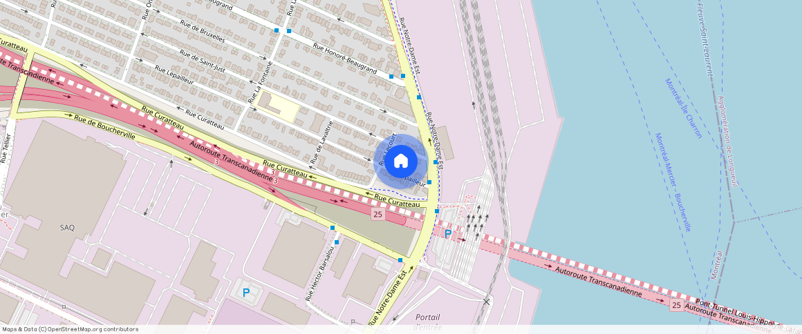 ** Rue Lepailleur, Mercier-Hochelaga-Maisonneuve, Mercier-Hochelaga-Maisonneuve, Ile de Montréal, H1L 6M9