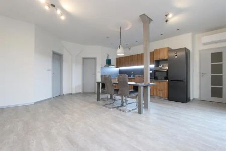 Pronájem novostavby bytu 4+kk, Brno - Zábrdovice, Šámalova ulice, částečně zařízený, klimatizovaný - Photo 4