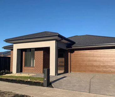 16 Wollemia Street, Craigieburn VIC 3064 - Photo 1