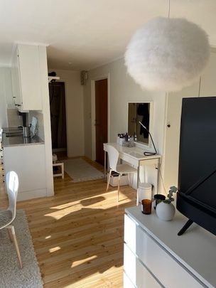 Fin 1:a i ÅS - Photo 1