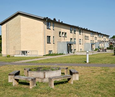 Østerled, 8 st.mf., 8840, Rødkærsbro - Photo 3