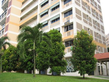 Blk 530 Serangoon North Avenue 4 (Serangoon), HDB 4 Rooms - For Rent - Photo 5