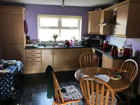 51 Annagole, Dungannon, BT70 1EP - Photo 4