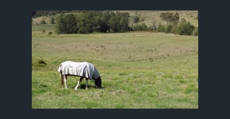 Room for your Horse(s) - Photo 3