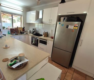 Neat & Tidy 3 x 2 - Millars Well - Photo 6