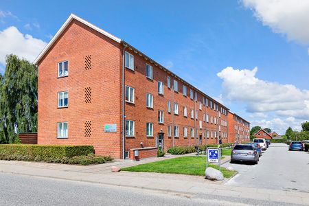 Afd. 5 Pilevang - Foto 2