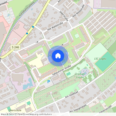 Sallauminer Str. 52, 09385 Sachsen - Lugau