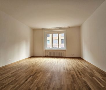 Zentrale Lage zwischen Manesseplatz und Sihlcity - Foto 2