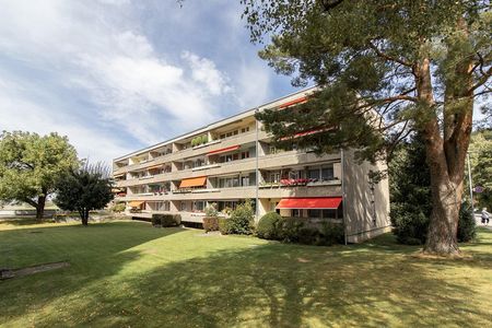 Erste eigene Wohnung gesucht? - Photo 2