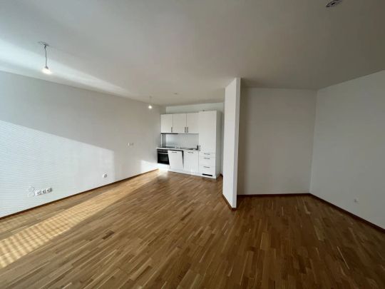 AKTION - Erster Monat Mietfrei! Geräumige 1-Zimmer-Wohnung! - Photo 1