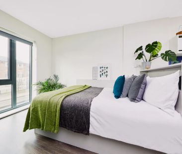 Bronze Studio - Photo 2