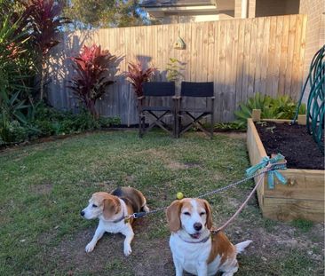 Willow Vale - Photo 5