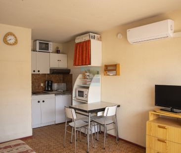 Location Appartement 1 pièce 19m² - Photo 3