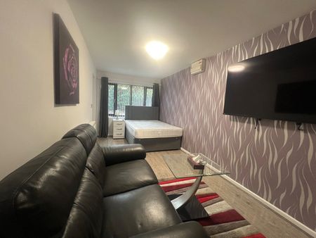 Studio Flat, Wilkinson Croft, B8 - Photo 2