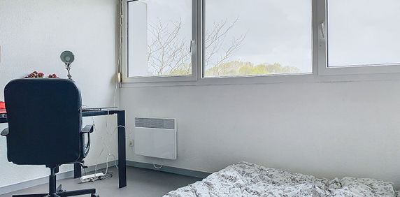 Location Appartement T 1 - Rennes - Beaulieu - Photo 2