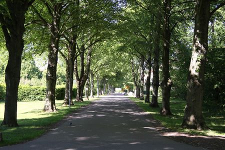 Gulsångaregatan 15 A - Photo 4