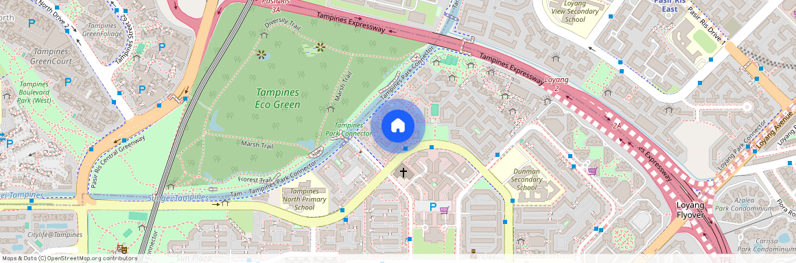 493E Tampines Street 43 (524493), Singapore