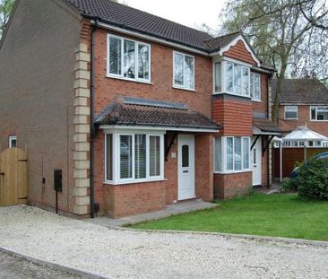 Sycamore Close, Doddington Park, LN6 0RS, Property for rent - Photo 3