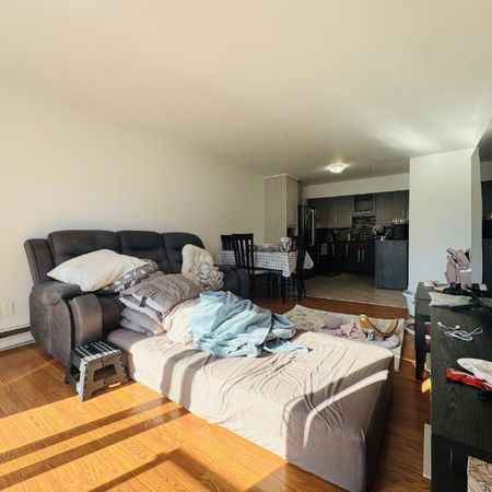 Appartement 4 ½ à louer Sainte-Foy / Sillery juillet 2026 - Photo 4