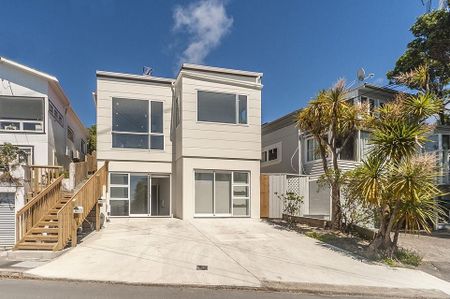 Aro Valley, New built, 5 bedrooms house - Photo 3