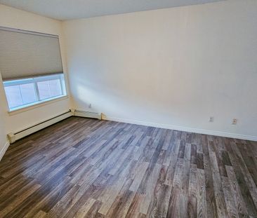 1 Br + Den Beautiful Condo For Rent In Lincoln Park: Heat & Water I... - Photo 3