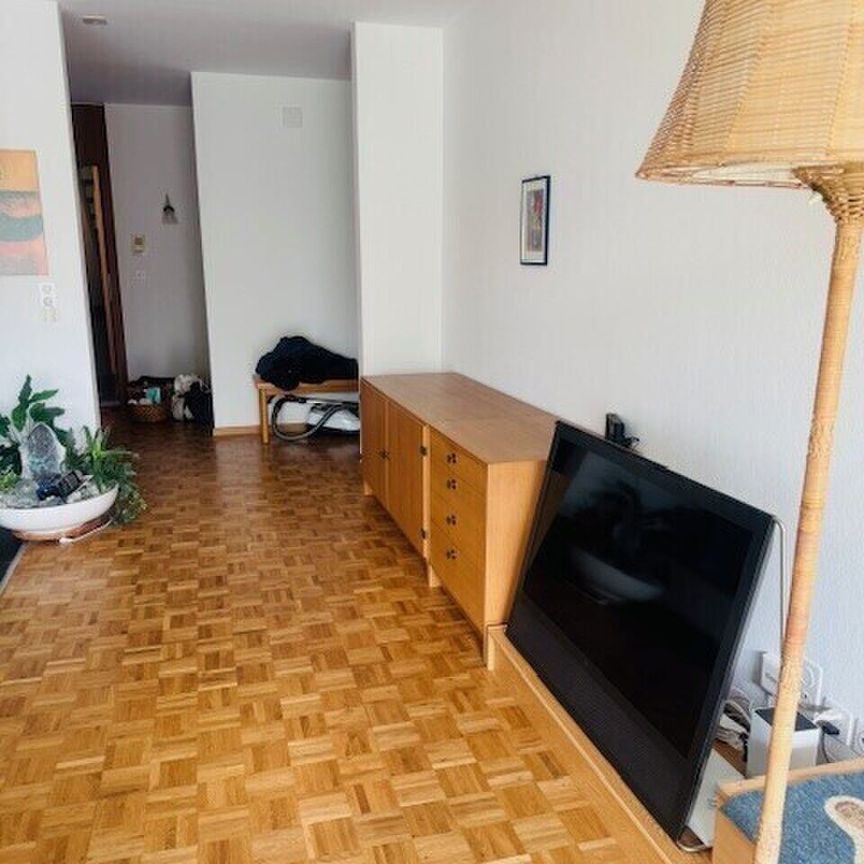 41/2 ROOM APARTMENT IN ZURICH, FURNISHED, TEMPORARY - Foto 1