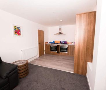 Room One, Unit Two, Gabriel Lofts, Brynmill - Photo 1