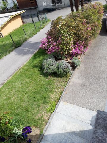 Appartamento inizio collina Tenero - Foto 3