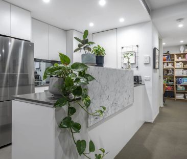 North Facing with Leafy Aspect - Photo 5