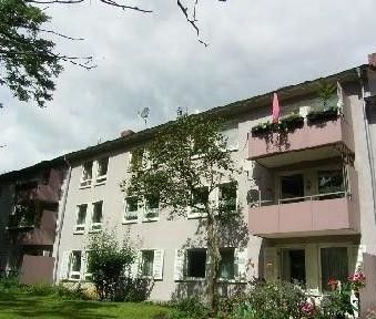 Schöne 3 zimmer Wohnung in Ruhiger Lage - Foto 1