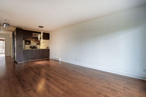 Condo for rent, Montréal (Le Sud-Ouest) - Photo 1