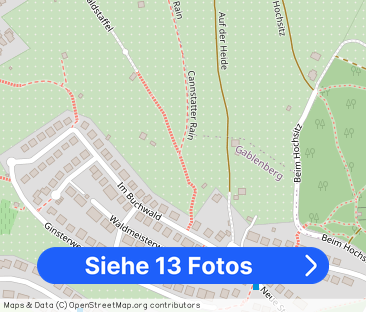 Helle, liebevoll erhaltene 2 Zimmer Altbauwohnung mit hohem Wohngefühl - Foto 1