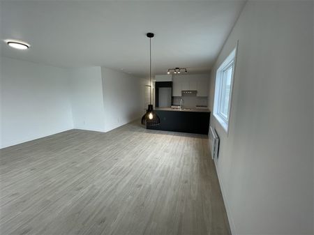 4½ (juillet), 203-886, rue Lamarche, Sherbrooke J1H 0M9 - Photo 4