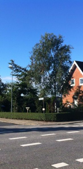 Fjerritslev, Vestergaardsvej 4 B, ledig 15/4-23 - Photo 1