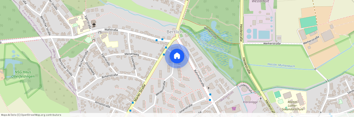 Weidenstr. 1B, 45701, Herten Ot Bertlich