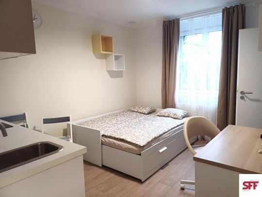 Pronájem bytu 1+kk 19 m2 - Fotografie 1