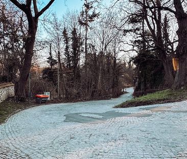 TOLLE 2,5 RAUM WOHNUNG - ROMANTISCHER Innenhof - Foto 1