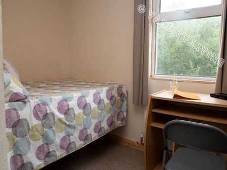 34 Caellepa - Photo 5