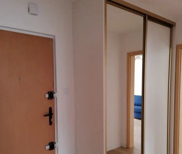 Do wynajęcia 2 pokoje ul. Sołtana - Photo 3