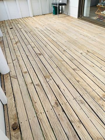 Beach Haven sunny warm family home 3beds 1bath - Photo 3