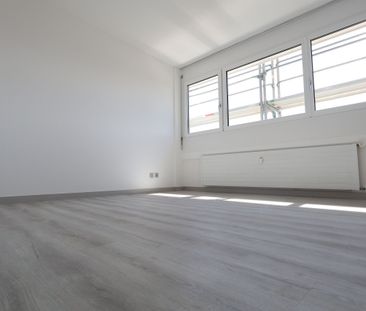 Luminoso 2.5 locali APPENA RISTRUTTURATO a Coldrerio - Foto 5