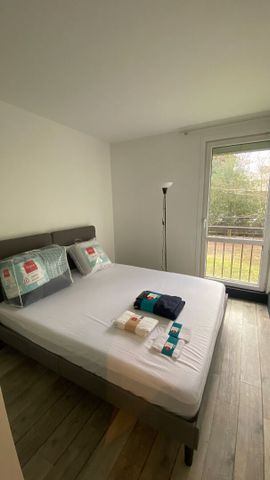 Appartement T3 Lille à louer - Photo 5