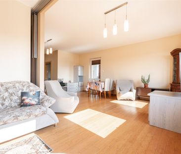 Łódź, Polesie, Pienista - Photo 5