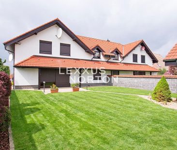 Pronájem domu 240 m² s pozemkem 550 m² - Photo 6