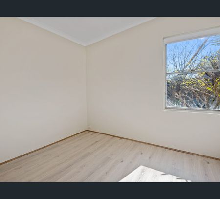 11 Rose Terrace, Paddington, NSW 2021 - Photo 4