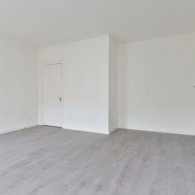 Pieter Cornelisz. Hooftstraat 161-1, Concertgebouwbuurt, 1071BV, Amsterdam - Foto 1